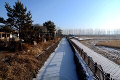 冬日——中兴村（1）