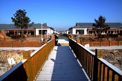 冬日——中兴村（1）