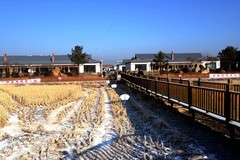 冬日——中兴村（1）