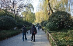 2026第一帖——明湖风光。