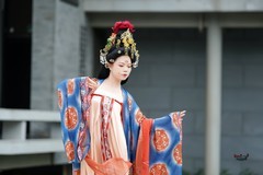 【梦回大唐】---莉莉