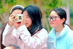 一组人像