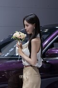 车模