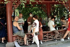 夏日随拍【上】
