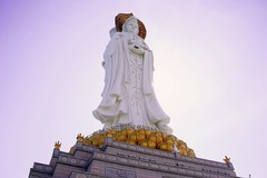 2114【不老松：纪实摄影】《山河锦绣》南国风情：海南島三亚：南--海观音！抱佛脚！