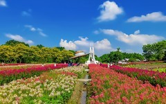 [26001] 海珠湿地