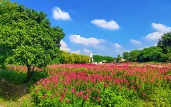 [26001] 海珠湿地