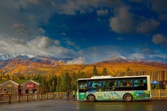 祝版主及各位摄友新年快乐（   新疆喀纳斯风景33）