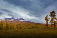 祝版主及各位摄友新年快乐（   新疆喀纳斯风景33）