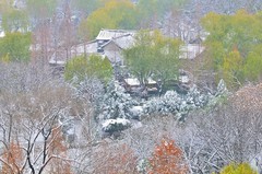 【视觉光影】瑞 雪 泉 城 （8）