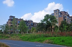 春和景明（续）