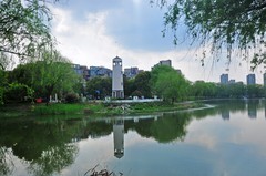 春和景明（续）