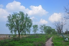 春和景明（续）