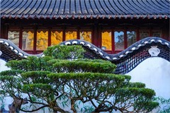 2026年第0002贴-上海豫园纪实旅拍（0101）