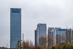 庐州印象（552）华夏茶市