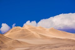 外出随拍（751）.