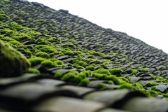 福宝古镇：【2】藏在川南山水里的烟火千年