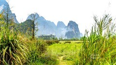 广西行——明仕田园（7）