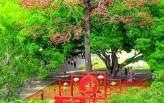 [26106] 俯拍农讲所