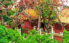 [26106] 俯拍农讲所