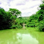 1733【不老松：纪实摄影】山河锦绣“山水之间”拉玛瀑布