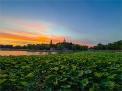 2026年- 北海公园夕阳纪实-0462