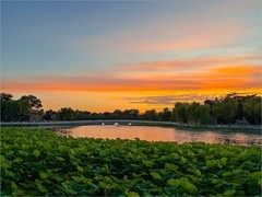 2026年- 北海公园夕阳纪实-0462