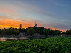 2026年- 北海公园夕阳纪实-0462