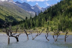 川西--四姑娘山风景区游记--8