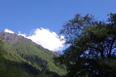 川西--四姑娘山风景区游记--8