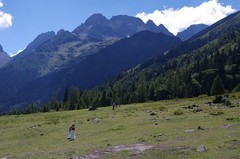 川西--四姑娘山风景区游记--10