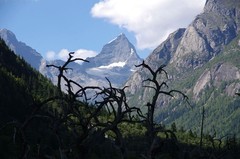 川西--四姑娘山风景区游记--10