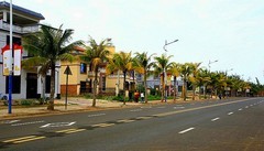 1478【不老松：二游海南纪实】临高杂片一组（4）