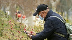 公园遛弯儿，随见随拍