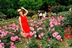 环境人像---花园里的佳丽！