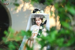 【云笠寻芳】---芋圆