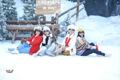 【雪地相聚·四大美女】---卫华、木子、月媚、风信子