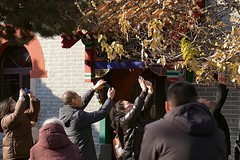 2026第一帖  走进鹿泉十方院