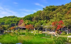 [26002] 云溪植物园