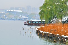 【视觉光影】瑞 雪 泉 城 （9）