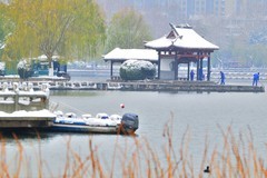 【视觉光影】瑞 雪 泉 城 （9）