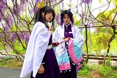 紫藤树下小姐姐