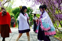 紫藤树下小姐姐