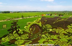 沈北稻梦空间