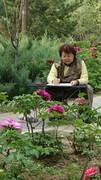公园遛弯儿，随见随拍