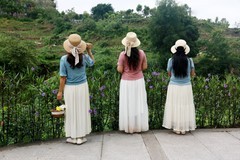 夏日芬芳格桑花
