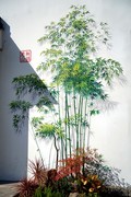 惠山古镇秋高气爽