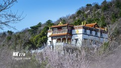 春日海棠山（5）