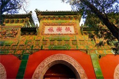 2026年第0004贴-颐和园风光纪实旅拍（0102）