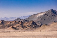 外出随拍（754）.